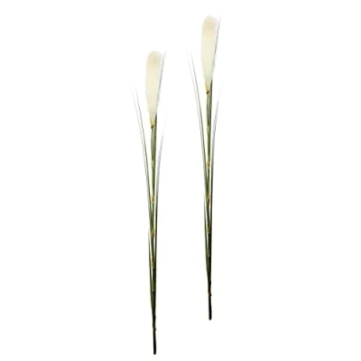 Abbildung von Flair Flower Pampasgras, 2er Set, Polyester, Kunststoff, Weiß, 6 x 125 cm, 2 Einheiten