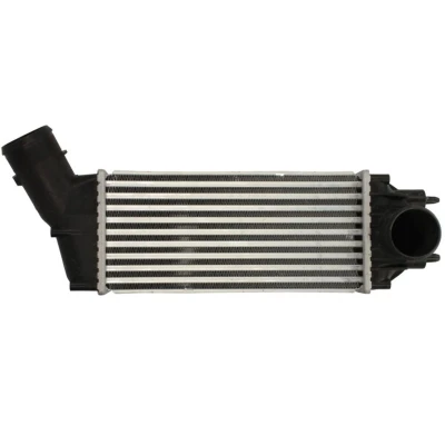 Abbildung von Ladeluftkühler THERMOTEC DAC016TT