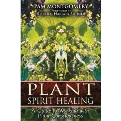 Abbildung von Plant Spirit Healing: A Guide to Working with Consciousness