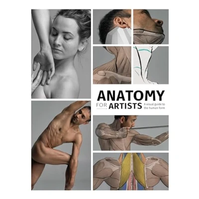 Abbildung von Anatomy for Artists: A visual guide to the human form