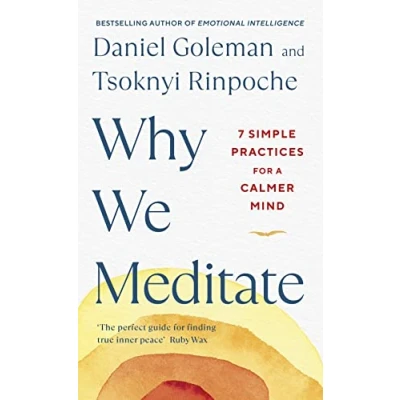 Abbildung von Why We Meditate: 7 Simple Practices for a Calmer Mind