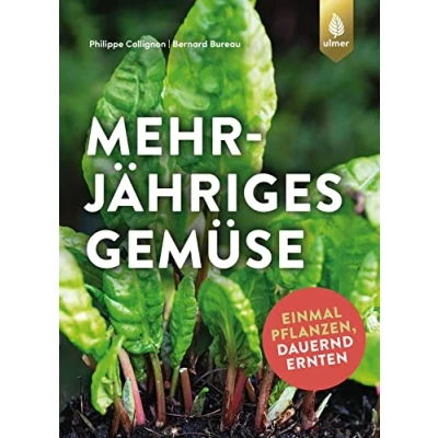 Abbildung von Mehrjähriges Gemüse: Einmal pflanzen, dauernd ernten
