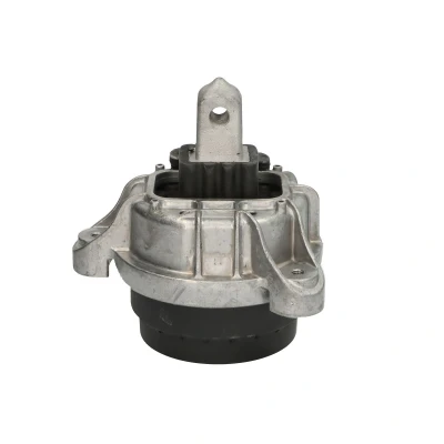 Abbildung von DELPHI TEM253 Motorlager hinten BMW: 5 Touring, Saloon
