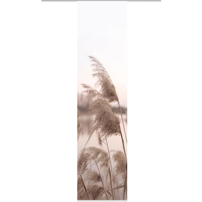 Abbildung von HOME WOHNIDEEN Schiebegardine »RANUS«, (1 St.), RANUS Jacquard