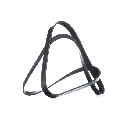 Abbildung von FEBI BILSTEIN 39793 Keilrippenriemen 1642 6 EPDM (Ethylen Propylen Dien Kautschuk) RENAULT: CLIO 2, TRAFIC 2 Kasten, Kangoo I Express, HYUNDAI: ix35