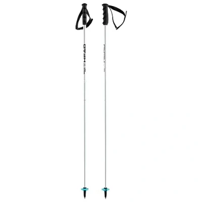 Abbildung von HEAD Unisex Adult Worldcup SL Skistöcke, weiß, 135