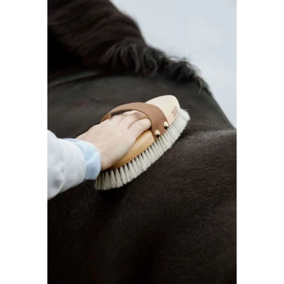 Abbildung von Kentucky Horsewear Bürste ShineVerkauft von Agradi
