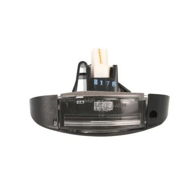 Abbildung von TYC 15 0421 00 2 Kennzeichenleuchte W5W beidseitig mit Glühlampe FIAT: Ducato II Minibus