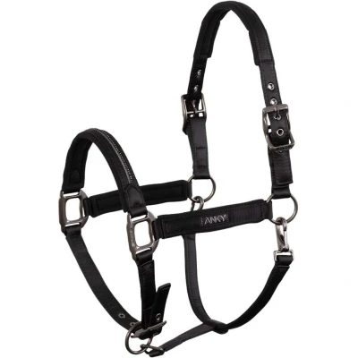 Abbildung von ANKY Halter Victory