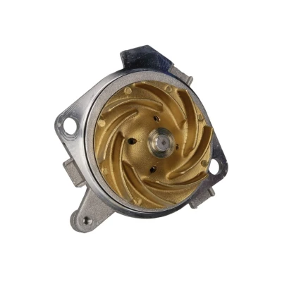 Abbildung von HEPU P1045 Wasserpumpe mit Dichtung mechanisch 61