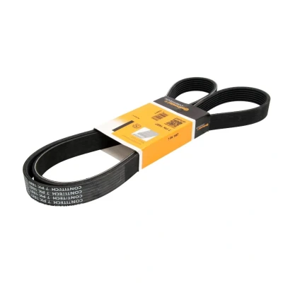 Abbildung von CONTITECH 7PK1687 Keilrippenriemen 1687 7 RENAULT: TRAFIC 2 Kasten, MEGANE 3 Grandtour, SCENIC 3, NISSAN: X Trail, Qashqai / Qashqai+2 I,
