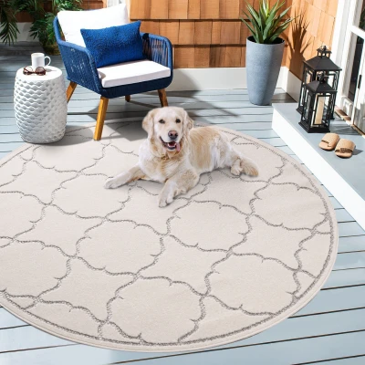 Abbildung von SANAT Outdoor Teppich Wetterfest Für Innen und Außenbereich, Balkon, Terrasse, Garten, Küche, Bad oder Wohnzimmer Wasserabweisend Creme, 120 cm Rund