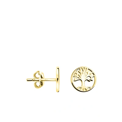 Abbildung von SOFIA MILANI Damen Ohrringe 925 Silber vergoldet/golden Baum Ohrstecker E2197