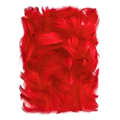 Abbildung von Netuno 150 Stück Deko Federn Rot 10g Flaumfedern Schmuckfedern Vogelfedern Bastelfedern Natur für DIY Basteln Dekoration Ostern Weihnachten Dekofigur