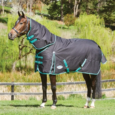 Abbildung von Weatherbeeta Winterdecke Green Tec 900D Detach A Neck Lite Plus 50g Schwarz/Grün 145/195