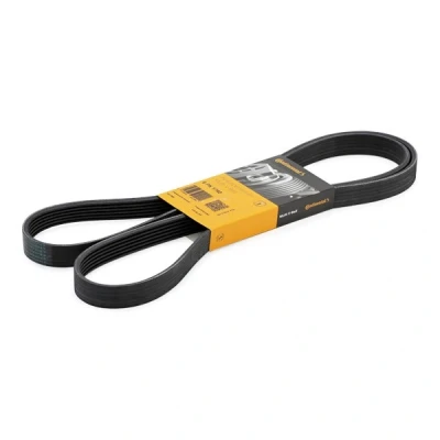 Abbildung von CONTITECH 6PK1740 Keilrippenriemen 1740 6 PEUGEOT: 206 Hatchback, 306 807, CITROËN: C8, Xsara Picasso, Synergie, VOLVO: 850 Estate kfzteile