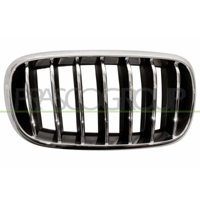 Abbildung von BLIC 6502 07 00969944P Kühlergrill vorne rechts chrom, schwarz BMW: X5