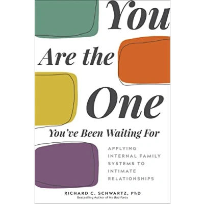 Abbildung von You Are the One You&#039;ve Been Waiting For: Applying Internal Family Systems to Intimate Relationships