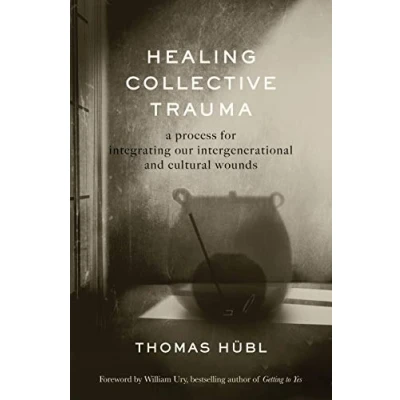 Abbildung von Healing Collective Trauma: A Process for Integrating Our Intergenerational &amp; Cultural Wounds