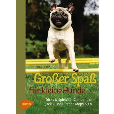 Abbildung von Großer Spaß für kleine Hunde: Tricks &amp; Spiele Chihuahua, Jack Russell Terrier, Mops Co.