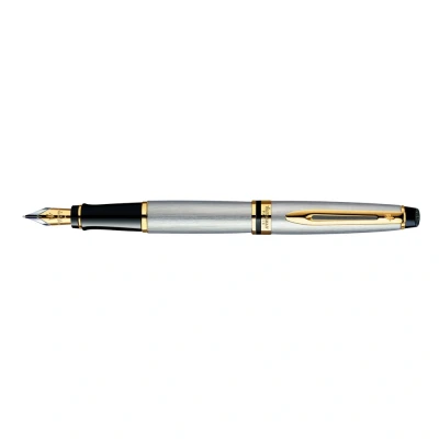 Abbildung von Waterman Expert Stainless Steel GT FP F