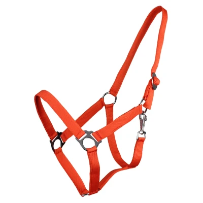 Abbildung von Q essentials Halter Slide