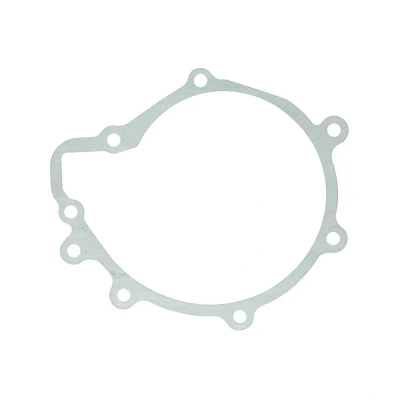 Abbildung von DT Spare Parts 3.16103 Dichtung, Wasserpumpe