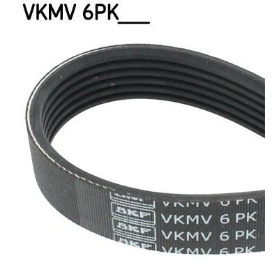 Abbildung von SKF VKMV 6PK1520 Keilrippenriemen 1520 6 FORD: Focus 2, 2 Kombi, C Max, SKODA: Octavia I Hatchback, VOLKSWAGEN: Lupo / 3L