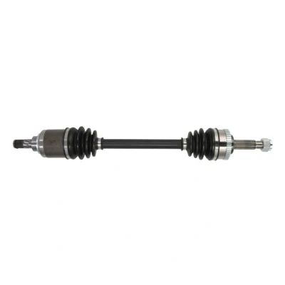 Abbildung von Antriebswelle PASCAL G21022PC