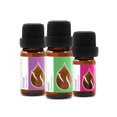 Abbildung von 3er Set &quot;Atme durch&quot; Ätherische BIO Öle Thymian (10ml) + Minze Ysop (5ml) 100% Naturrein Unverdünnt zertifiziert Spitzenqualität aus Familienbetrieb Ohne Gentechnik Vegan