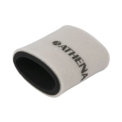 Abbildung von Luftfilter ATHENA S410250200021