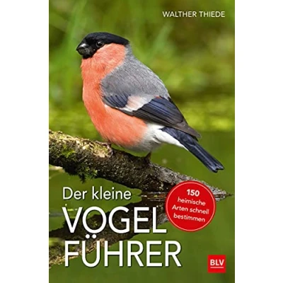 Abbildung von Der kleine Vogelführer: 150 heimische Arten schnell bestimmen (BLV Vögel)