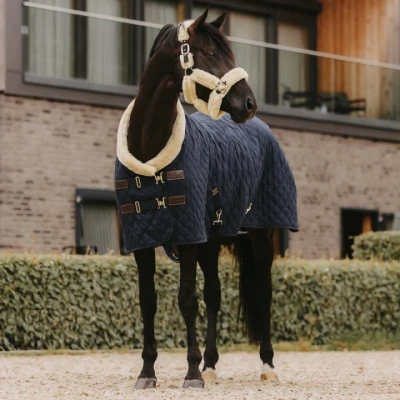 Abbildung von Kentucky Showdecke 160g Navy 115/168