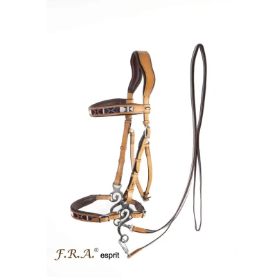 Abbildung von F.R.A. Bridle Esprit
