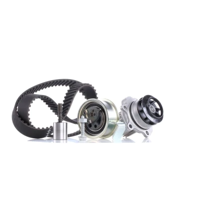 Abbildung von INA 530 0091 31 Wasserpumpe + Zahnriemensatz mit VOLKSWAGEN: Bora Saloon, Golf 4 Variant, Passat B5 SEAT: Leon I Hatchback