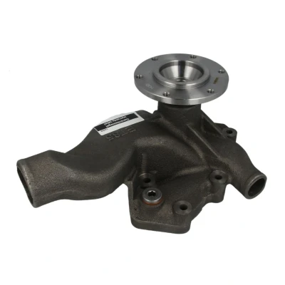 Abbildung von DOLZ M302 Wasserpumpe