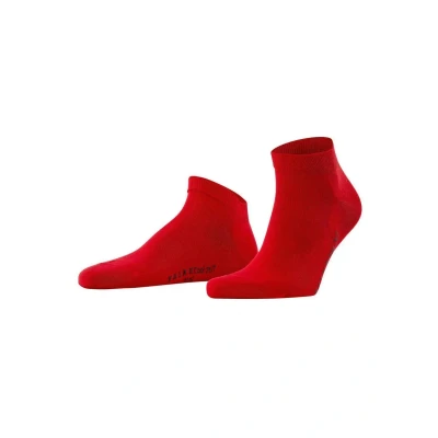 Abbildung von Falke COOL 24/7 Socken, Herren, Größe: 45 46, Rot