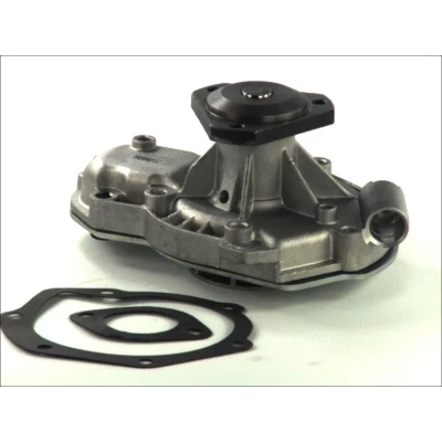 Abbildung von THERMOTEC D1R003TT Wasserpumpe mit Dichtung mechanisch RENAULT: ESPACE 2, Trafic I Platform/Chassis