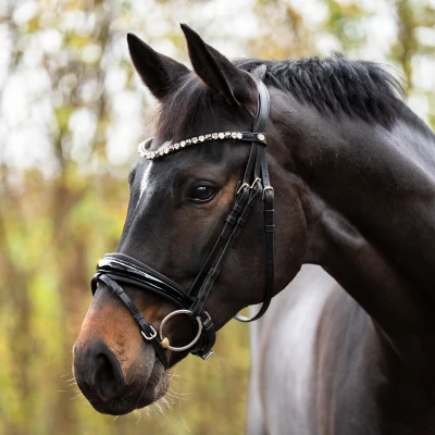Abbildung von Kavalkade Bridle Zora