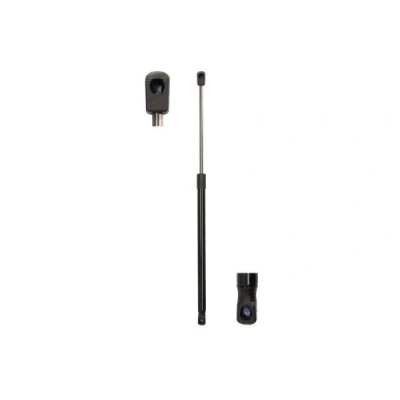 Abbildung von Gasfeder, Koffer /Laderaum MAGNUM TECHNOLOGY MGS2025