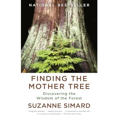 Abbildung von Finding the Mother Tree: Discovering Wisdom of Forest