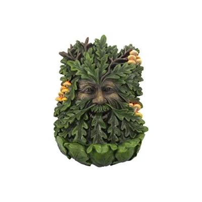 Abbildung von Nemesis Now D4267M8 Wandschild aus Holunderholz, 19 cm, grün, Polyresin, 23,8 cm