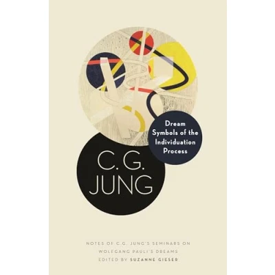 Abbildung von Dream Symbols of the Individuation Process: Notes C. G. Jung&#039;s Seminars on Wolfgang Pauli&#039;s Dreams (Philemon Foundation, 17)