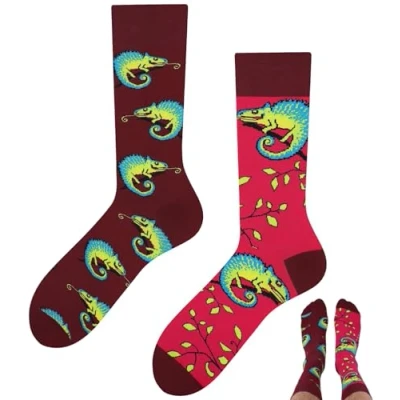 Abbildung von TODO Lustige Socken Chamäleon motiv Damen, Herren, bunte Echse (39 42, Kameleon)