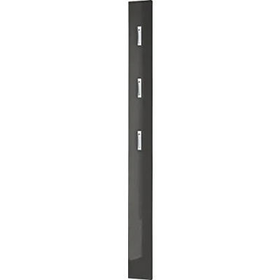 Abbildung von Germania Garderobenpaneel 3255 547, mit DREI ausklappbaren Kleiderhaken aus Metall, in Anthrazit Hochglanz, 15 x170 x 3 cm (BxHxT)