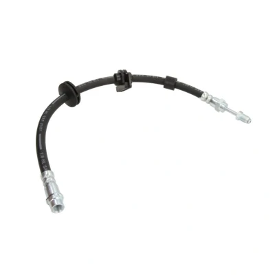 Abbildung von DELPHI LH7389 Bremsschläuche 466 Male Thread RENAULT: LAGUNA 3 Grandtour,