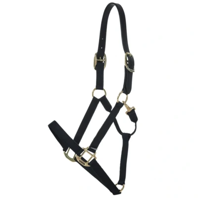 Abbildung von Kentucky Halfter Nylon Breakaway Schwarz