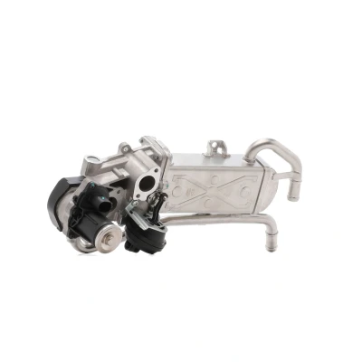 Abbildung von MAGNETI MARELLI 571822112070 AGR Ventil VOLKSWAGEN: Polo V Hatchback, SKODA: Fabia 2