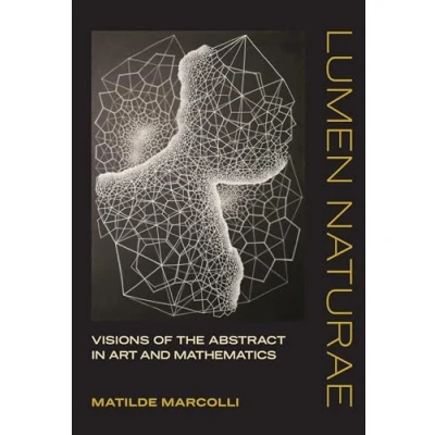 Abbildung von Lumen Naturae: Visions of the Abstract in Art and Mathematics (Mit Press)