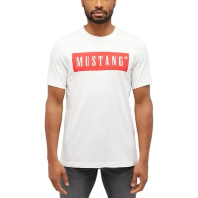 Abbildung von MUSTANG Herren Style Austin T Shirt, Cannoli Cream 2084, 6XL EU